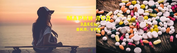 прущие грибы Надым