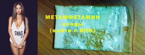 прущие грибы Надым