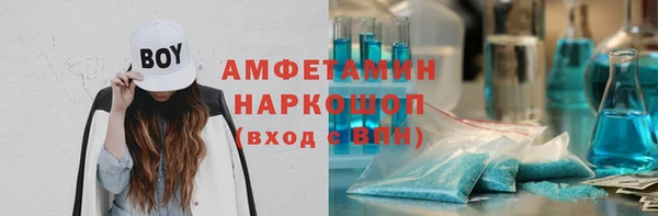 прущие грибы Надым