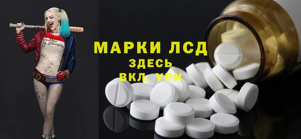 прущие грибы Надым