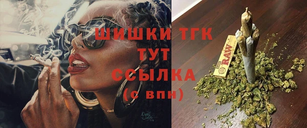 прущие грибы Надым