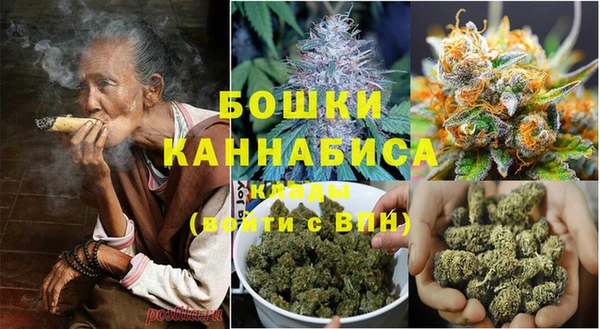 ГАЛЛЮЦИНОГЕННЫЕ ГРИБЫ Навашино