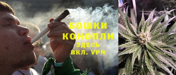 прущие грибы Надым