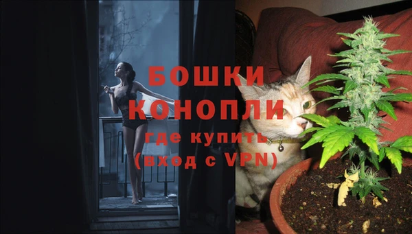 дурь Билибино