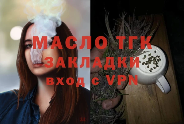 гашик Нея