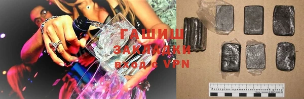 прущие грибы Надым