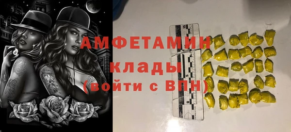 прущие грибы Надым