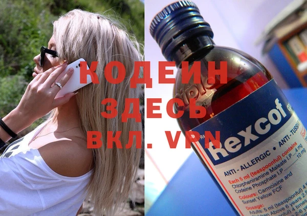 прущие грибы Надым