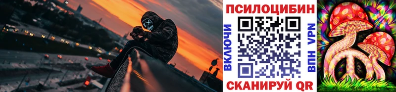 Галлюциногенные грибы Psilocybine cubensis  Южа 